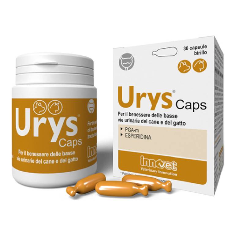 URYS CAPS 30CPS